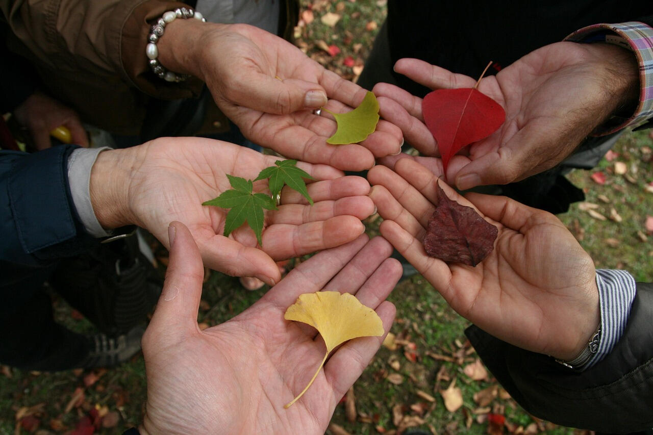 Diversity exists even within colors, rendering color rulers pathetically simple measures of a person. AntiRacism, Accountability, DeconstructWhiteness, ReclaimCulture, Whiteness, SocialJustice, Race, Discourse, CulturalErasure, CoConspirator, Solidarity, PrideAsStrength, Hispanic, Latina, WhiteSupremacy, Manifesto